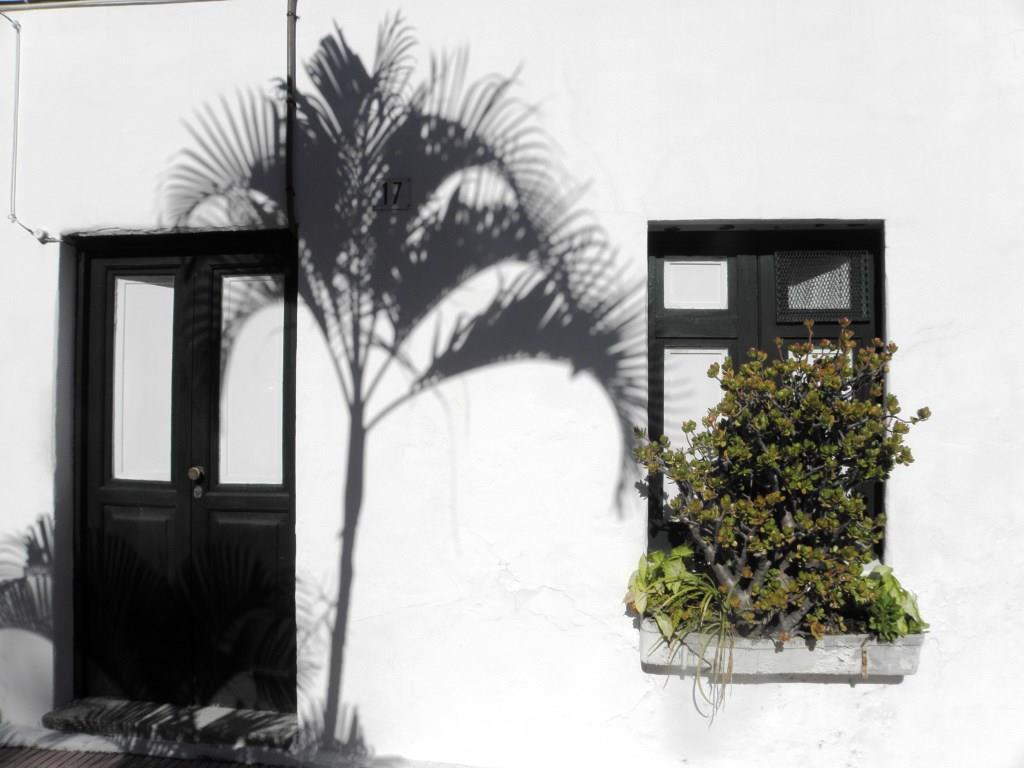 Teneriffa - Puerto de la Cruz - 2016